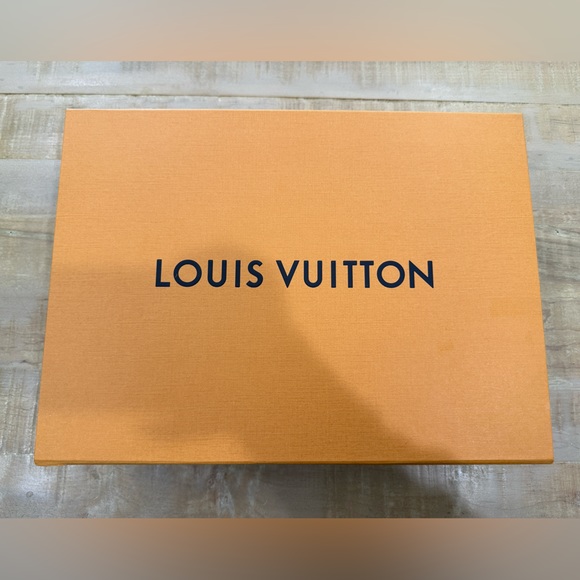 Authentic Louis Vuitton handbag purse shoe box - Picture 8 of 14